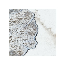 Beach Tide Splash Back | White