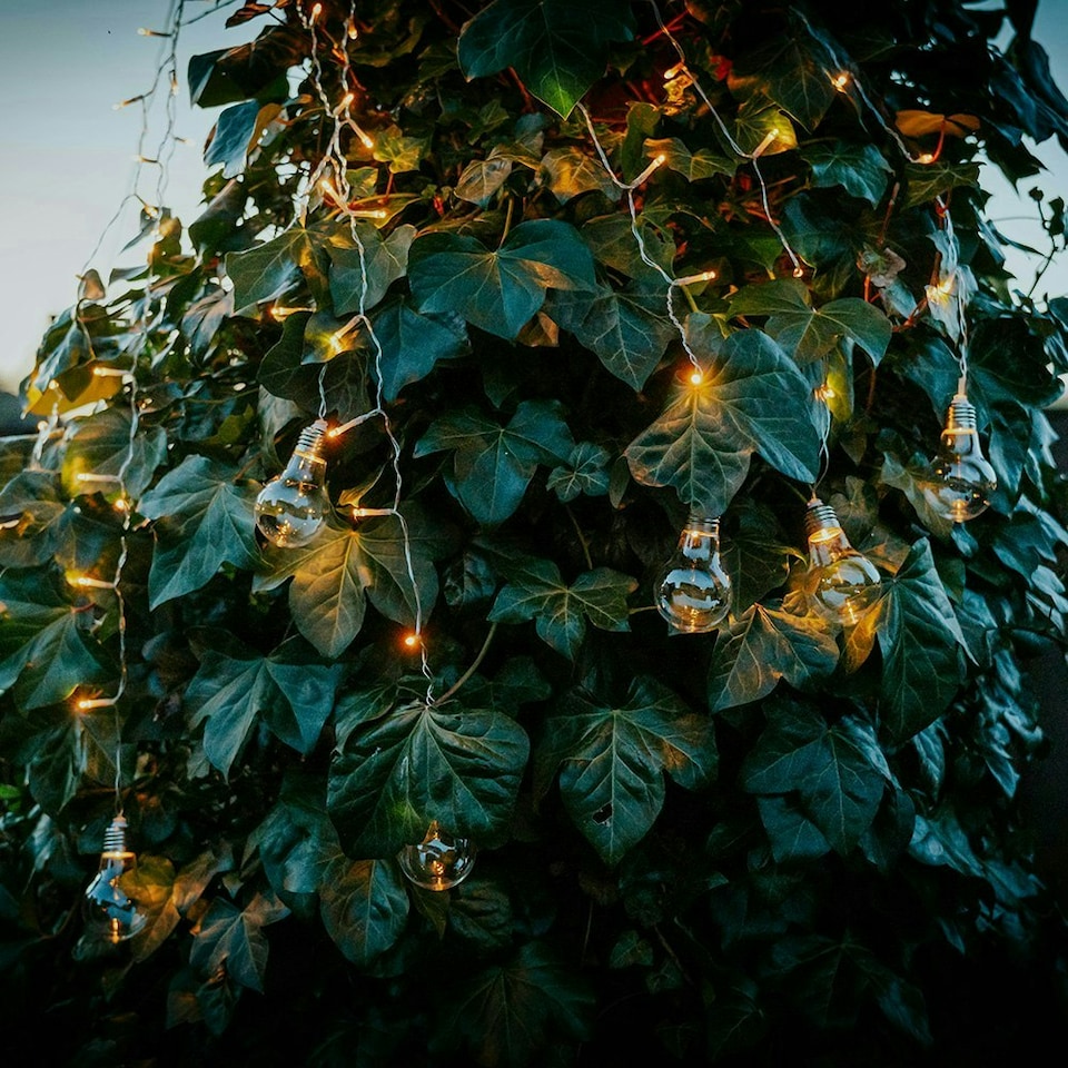 image 1 of ValueLights Outdoor Clear Outdoor Parasol Lights