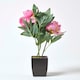 image 6 of Homescapes Pink Artificial Peonies in Decorative Black Pot, 48 cm Tall