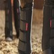 image 5 of LeMieux Stable Boots Black | X-Large