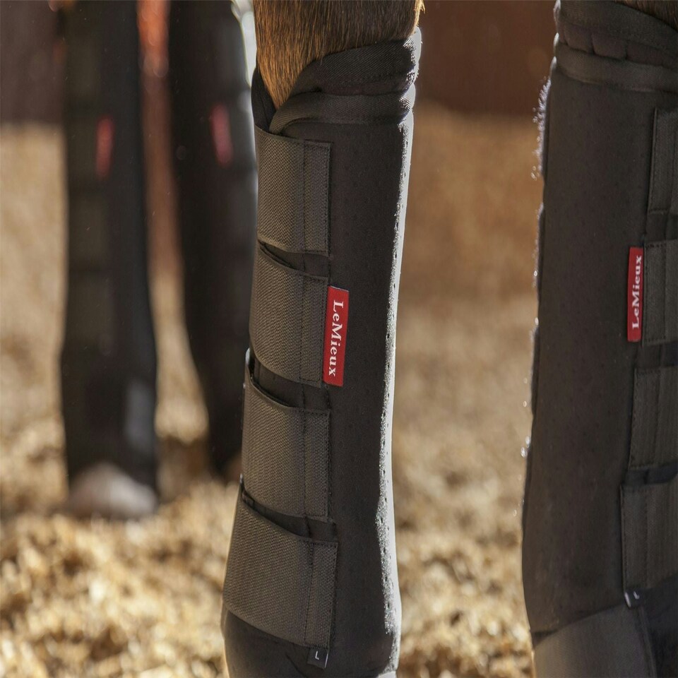 image 1 of LeMieux Stable Boots Black | X-Large