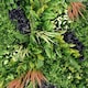 image 2 of True Products Premium Artificial Living Wall Green Plant Panel 1m x 1m - Charm B