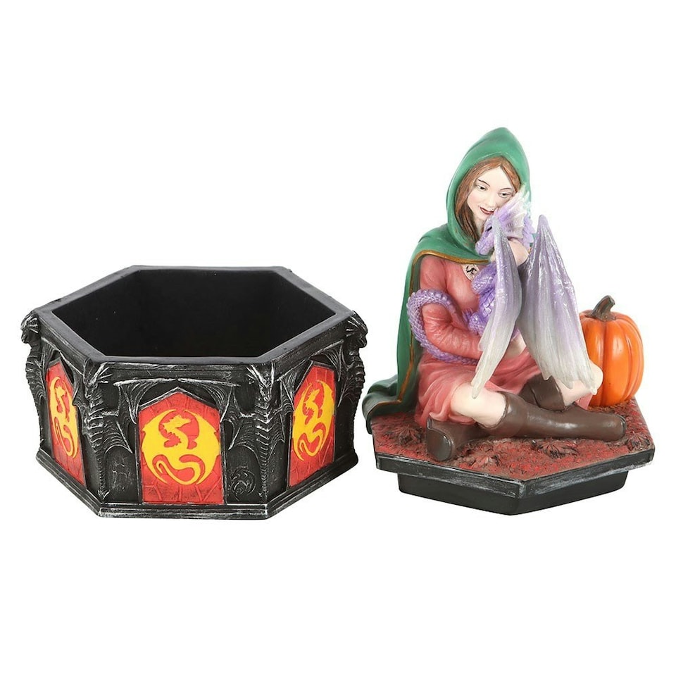 image 1 of Anne Stokes Dragon Friendship Fall Decorative Box - Multicoloured - One Size