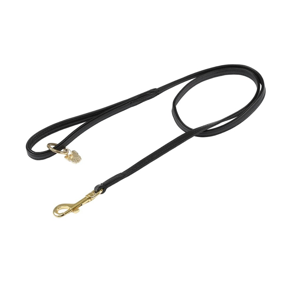 Digby & Fox Leather Padded Dog Lead - Black - 1.5cm