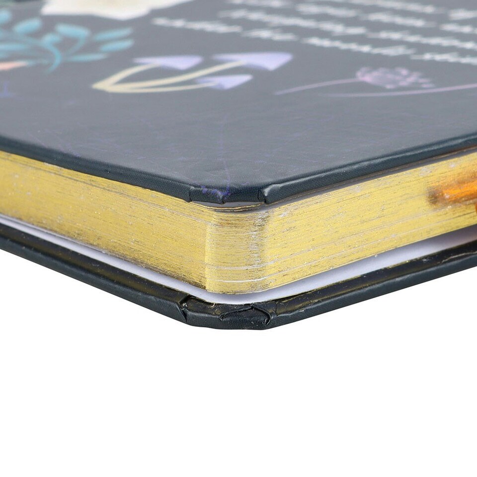 image 1 of A5 Midnight Moth Notebook - Journal with Amethyst Pen