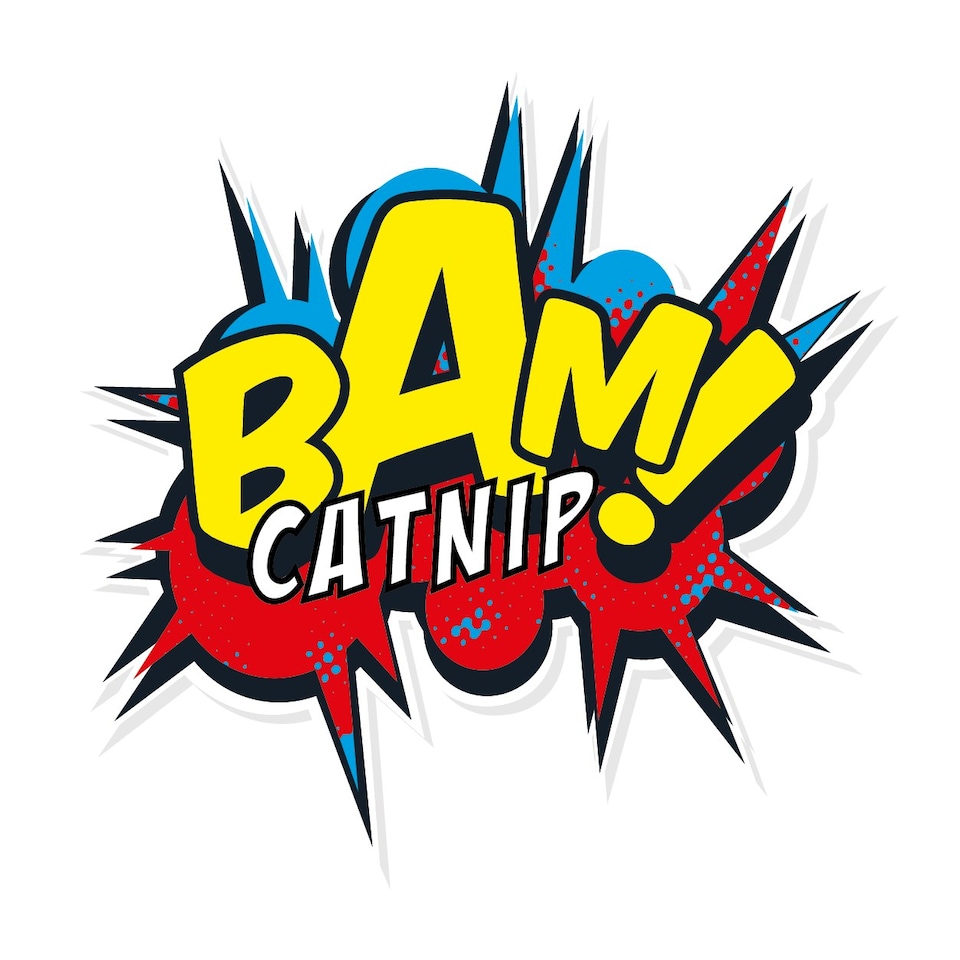 image 1 of BAM! Magic Cat Catnip Wand Toy Mouse