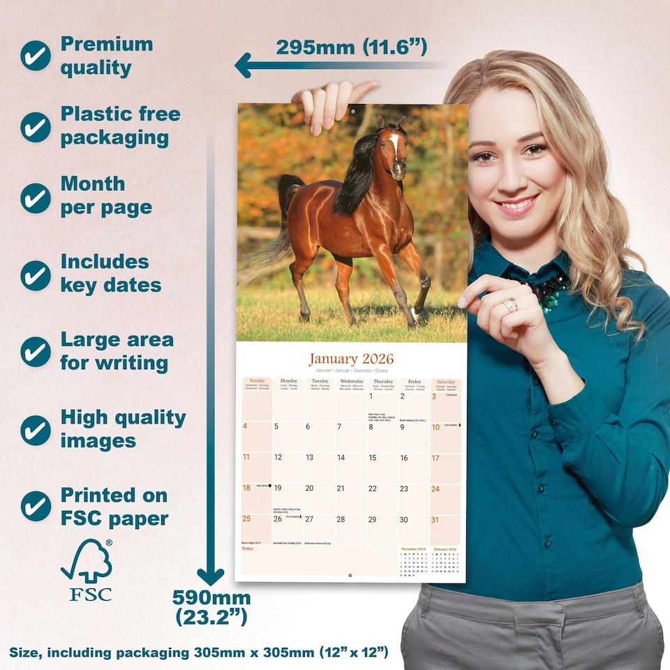 image 1 of Arabian Horses 2026 Calendar | Square Wall Calendar | Animal Gift | Plastic Free Packaging | by Avonside Publishing