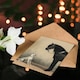 image 4 of Emil Volkers Art Card Orlov Trotter Horse and Dog