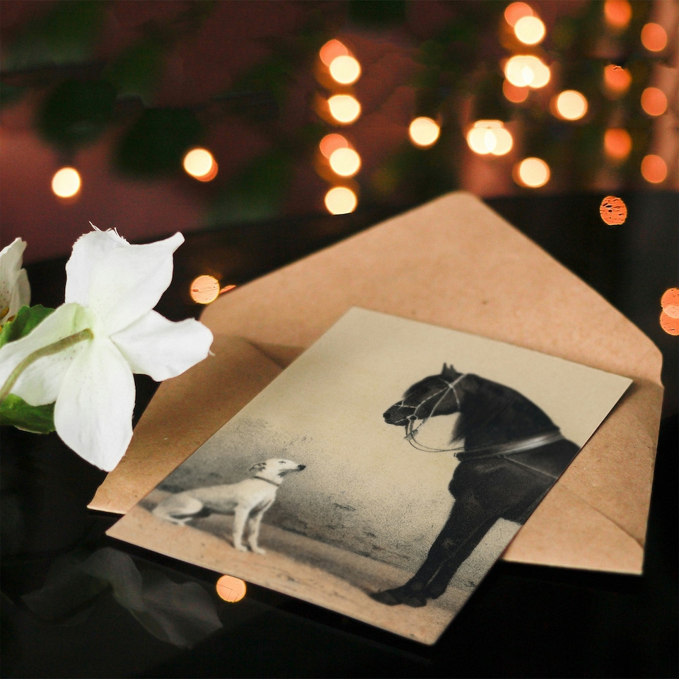 image 1 of Emil Volkers Art Card Orlov Trotter Horse and Dog