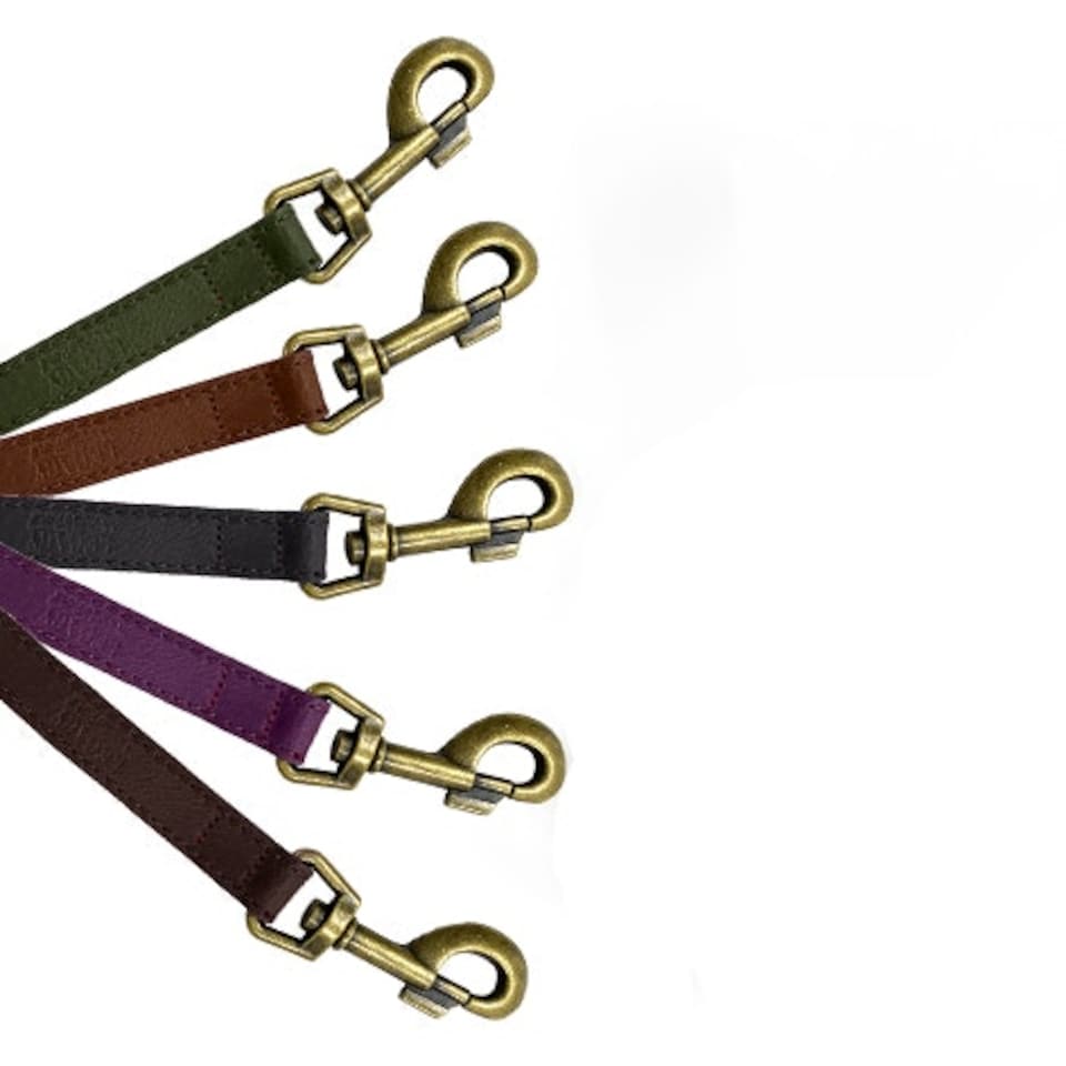 image 1 of HugglePets Legacy Leather Dog Lead | Pink | Merlot