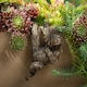 image 1 of Three Toed Sloth Plant Pot Hanger