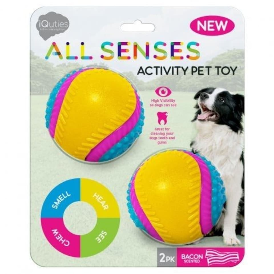 Pet Brands Iquties Pet Sensory Ball Large Tesco Groceries