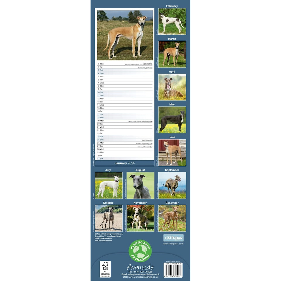 image 1 of Greyhound Slim 2026 Calendar | Slimline Wall Calendar | Dog Breed Gift | Plastic Free Packaging | by Avonside Publishing [Calendar] Avonside Publishing Ltd