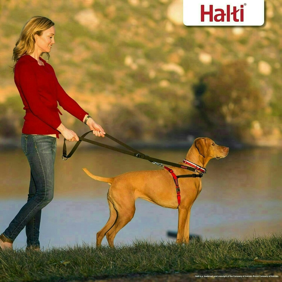 image 1 of HALTI Front Control Harness - Size Medium