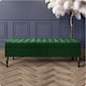 image 1 of Safar 120cm Ottoman Storage Bench - Plush Velvet Shoe Bench - Forest Green Lined Upholstery Storage Footstool