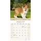 image 3 of Shetland Sheepdog 2026 Calendar | Square Wall Calendar | Dog Breed Gift | Plastic Free Packaging | by Avonside Publishing
