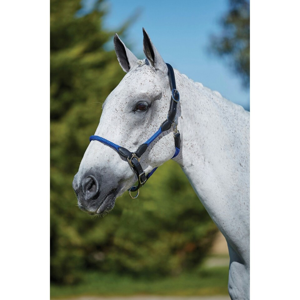 image 1 of Kincade Leather Rope Headcollar - Blue - Pony