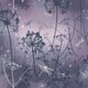 image 1 of Arthouse Fantasia Damselfly Wallpaper - Purple/Silver - 32.1ft x 21in