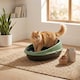 image 2 of Oval Cat Litter Tray Box with Rim | Green | 1