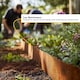 image 6 of Nicoman Pre Rusted Metal Lawn Edging Border, Garden Edging | Bronze | Rust | 5m | 1