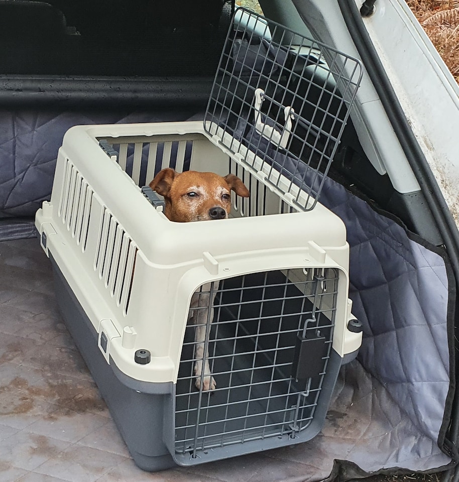 image 1 of Henry Wag Open Top Travel Kennel