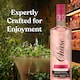 image 3 of Chase British Rhubarb Vodka, 70cl