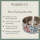 image 4 of Morris & Co Stainless Steel Dog Slow Feeder Bowl - Bower Berry Blue