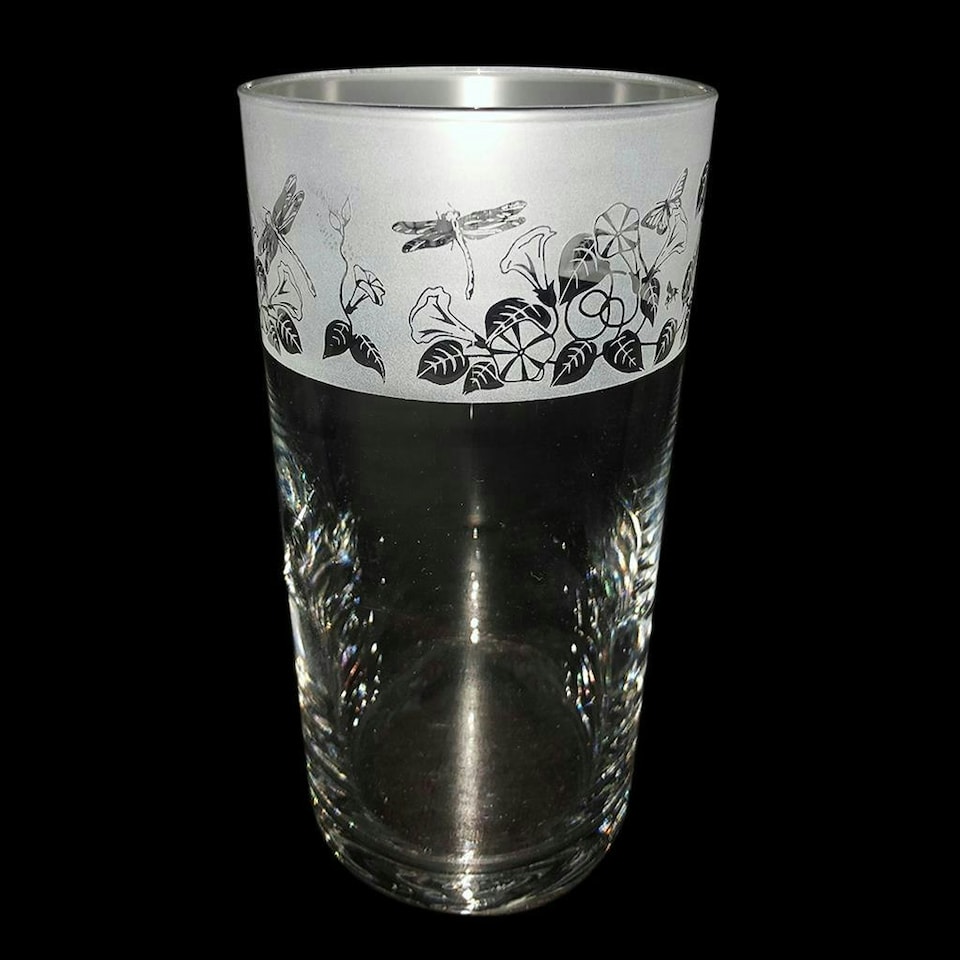 Animo Glass Etched Pint Glass Dragonfly
