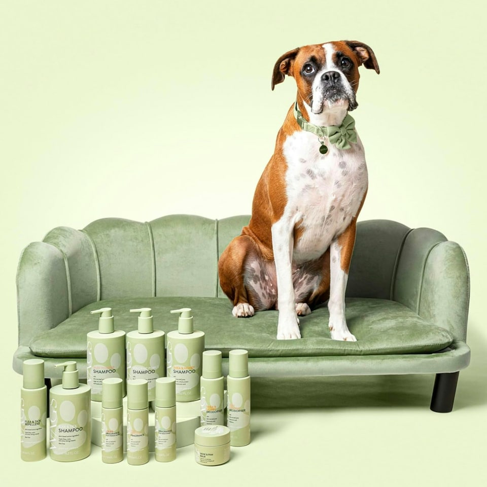 image 1 of WAGS Lola's Fragrance for Female Dogs 100ml