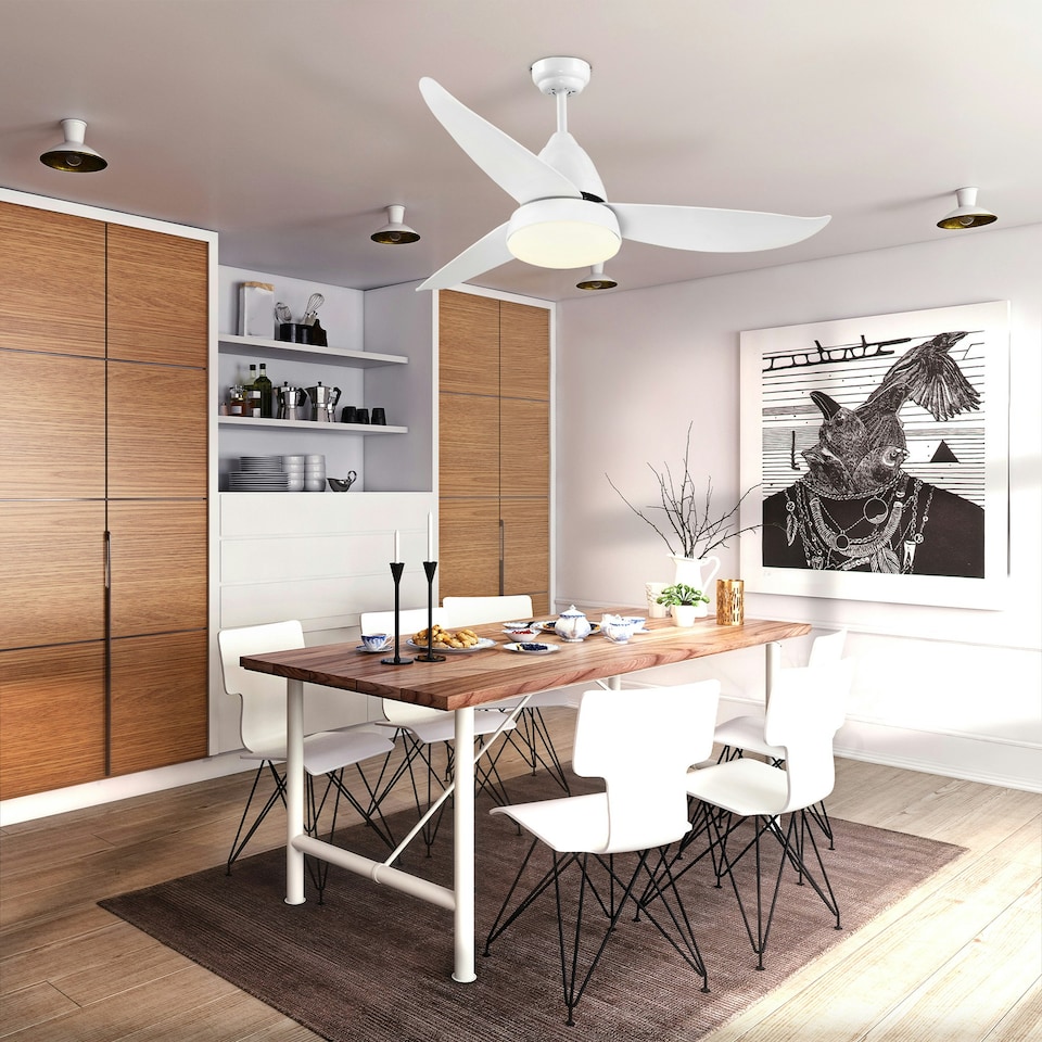 image 1 of HOMCOM Reversible Ceiling Fan with Light, 3 Blades, Mount Lighting Fan, White