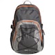 image 1 of Trespass Albus 30 Litre Casual Rucksack/Backpack | Grey | Flint | One Size | 1