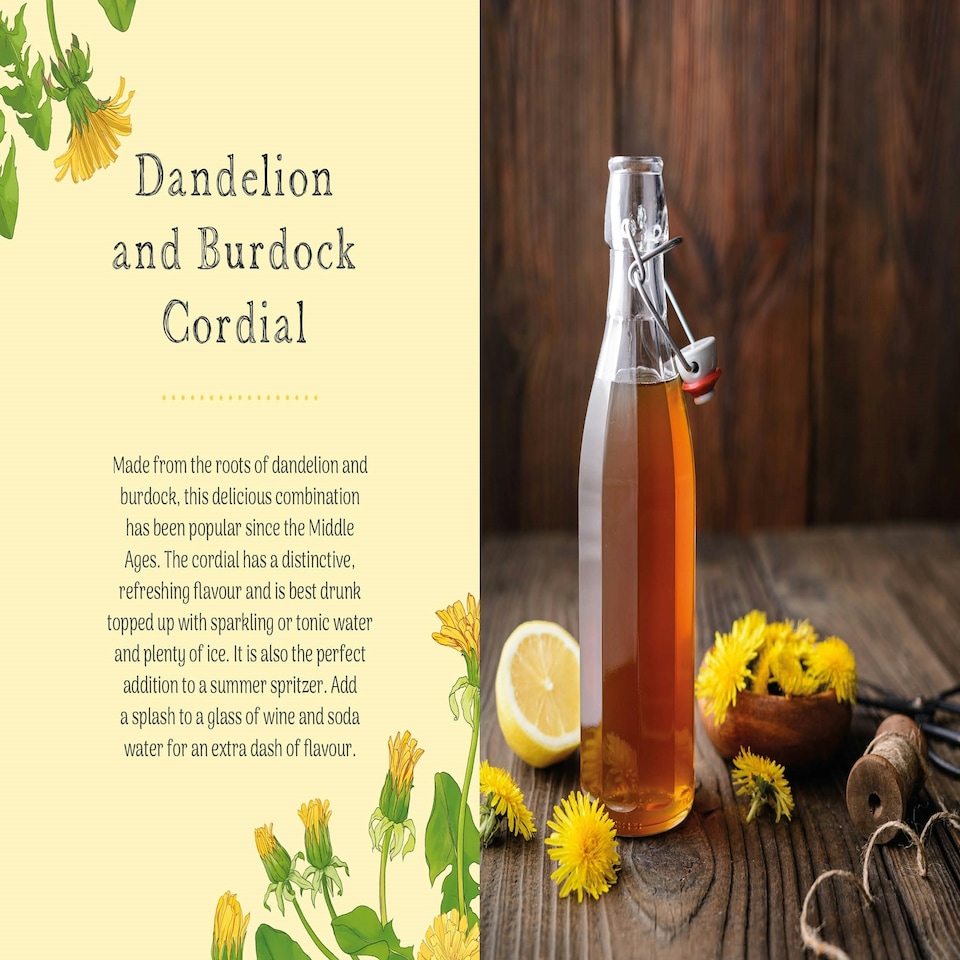 image 1 of The Little Wild Library: Dandelion