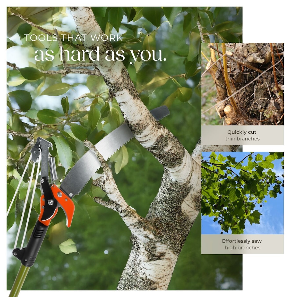 image 1 of Shears - telescopic pruners with cable and saw function