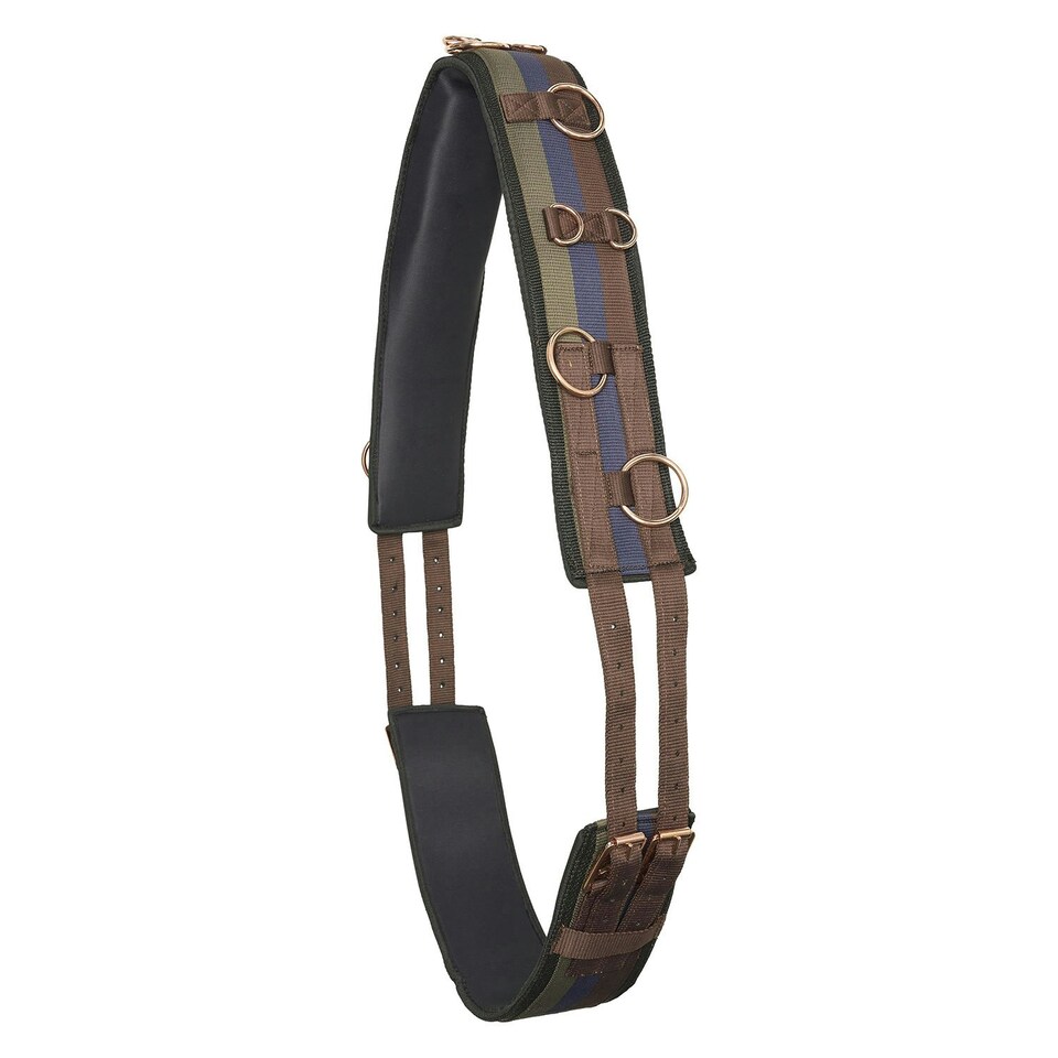 Imperial Riding IRHDeluxe Nylon Horse Lunging Girth - Multicoloured/Walnut - Pony
