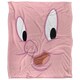 image 2 of Looney Tunes Porky Pig Blanket - Multicoloured - One Size