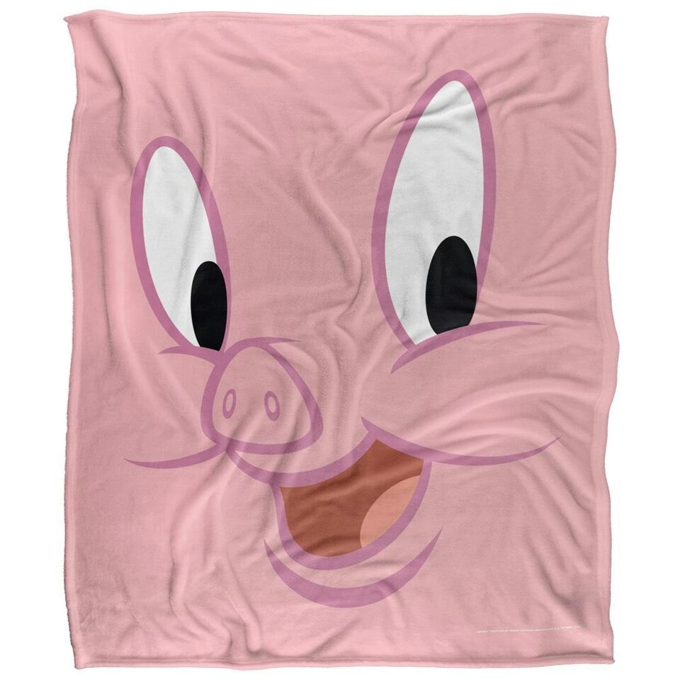 image 1 of Looney Tunes Porky Pig Blanket - Multicoloured - One Size