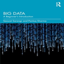Big Data Paperback Book