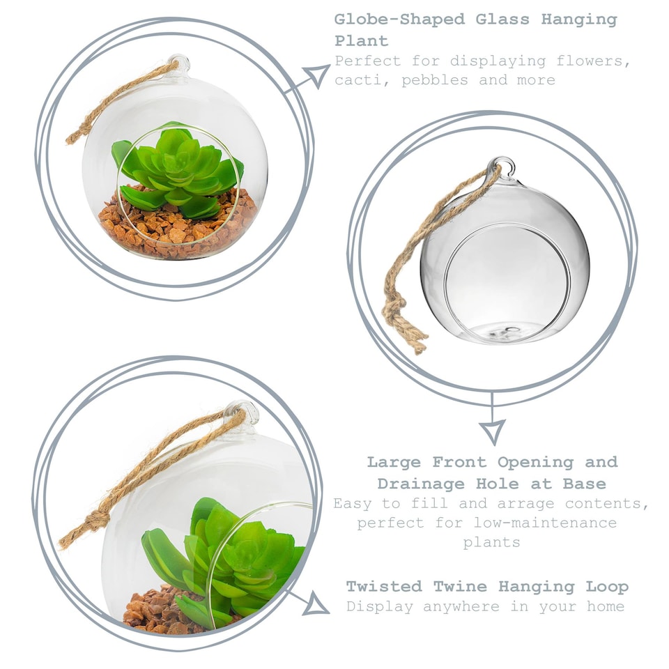 image 1 of Nicola Spring Hanging Glass Terrarium - 12cm - Clear