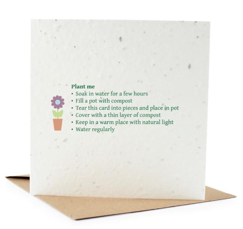 image 1 of Traditional Father Christmas - Plantable Wildflower Seed Christmas Cards - 10 Pack