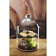 image 4 of Artesà Appetiser Two-Tier Serving Stand Dome