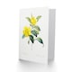 image 2 of Pierre-Joseph Redouté Art Card Golden Guinea Vine Flowers