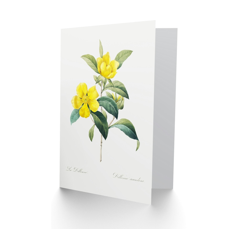 image 1 of Pierre-Joseph Redouté Art Card Golden Guinea Vine Flowers