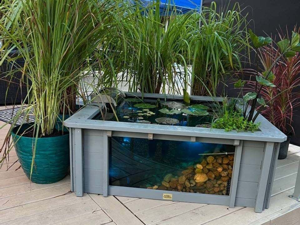 image 1 of Raised square pond with large windows Lotus Clear View Garden Aquarium in Grey