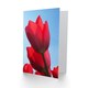 image 2 of Photo Tulips Close Up Flower Birthday Card