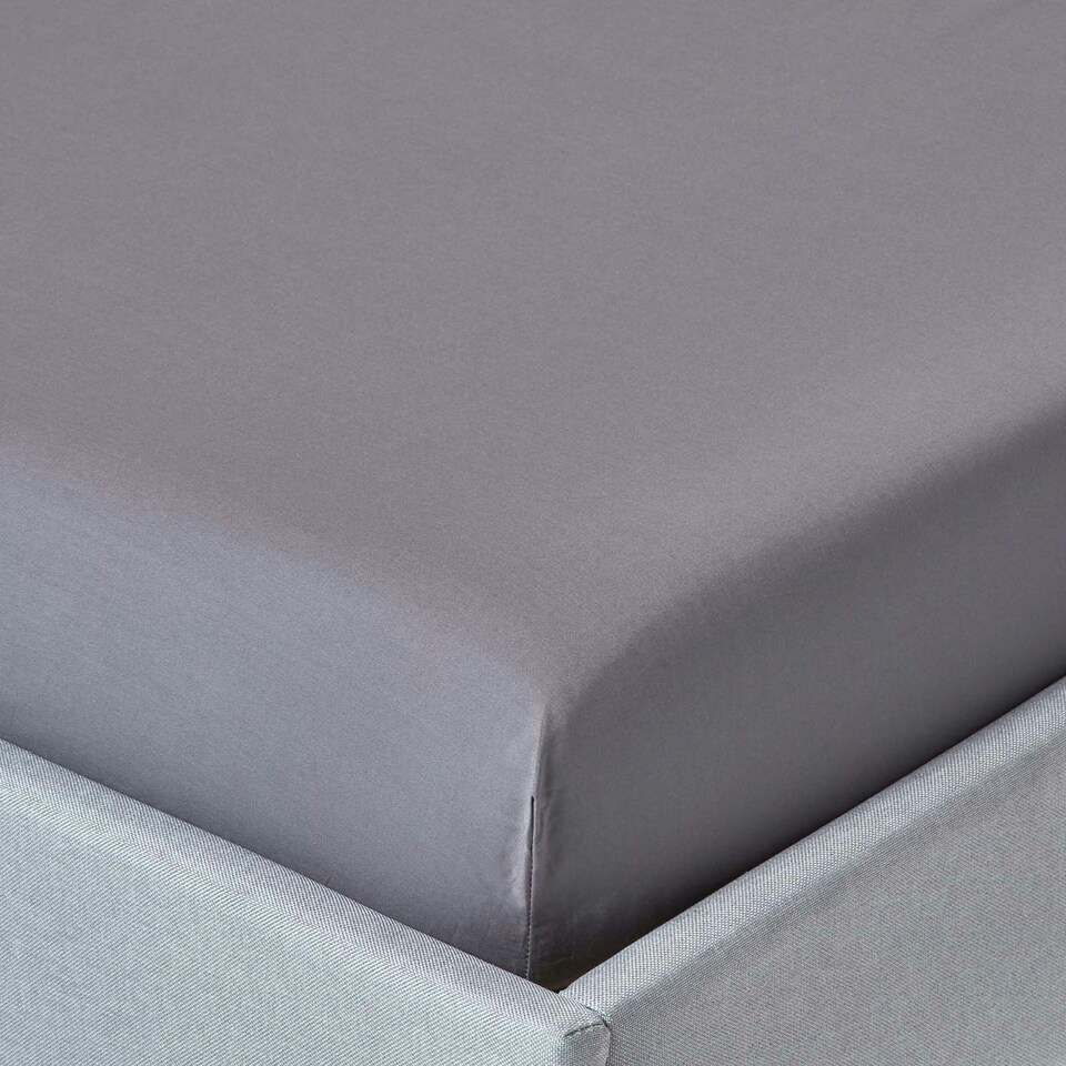 image 1 of Homescapes Dark Grey Egyptian Cotton Fitted Sheet 200 TC, King Grey | King