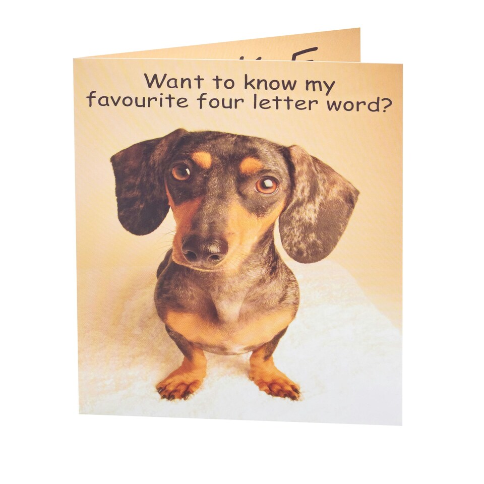 image 1 of Humour Birthday Card - Dog Cake