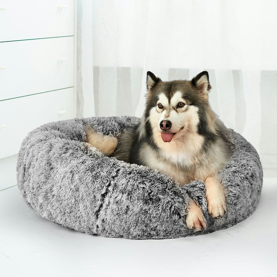image 1 of Skylos Dog Bed Cat Beds Washable Large Puppy Soft Warm Calming Cushion Round Grey | Grey | XL