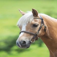 Shires Blenheim Clincher Inhand Bridle Brown | Size: Cob
Colour: H.Brown