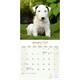 image 3 of Bull Terrier 2026 Calendar | Square Wall Calendar | Dog Breed Gift | Plastic Free Packaging | by Avonside Publishing