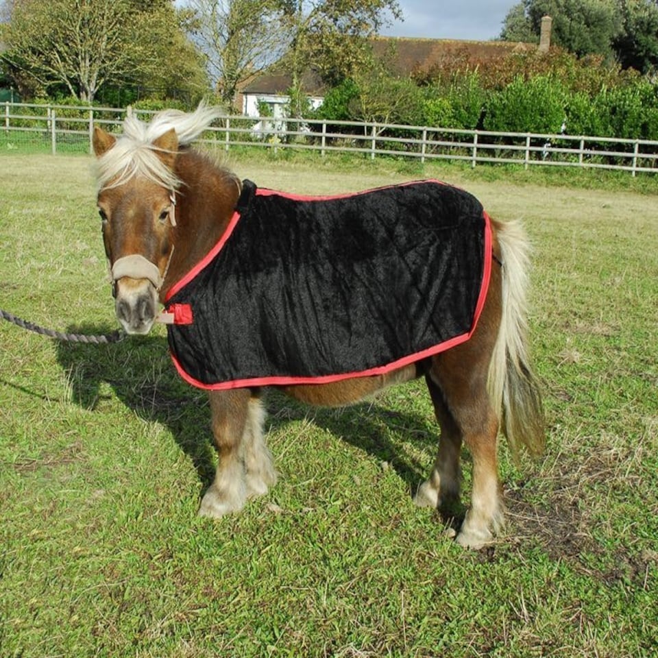 Rhinegold Small Pony Coral Fleece Rug Blue | Size: 105cm (3'3 Inch)
Colour: Navy Blue